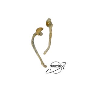 Hillbilly Raw Mushroom