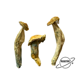 Bluey Vuitton Raw Mushroom